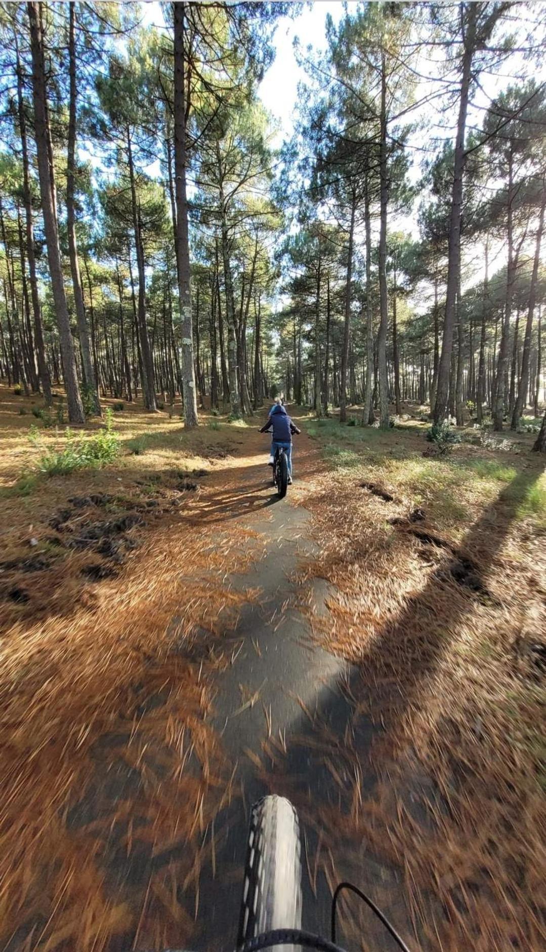 Camping Des Dunes De Contis Mobilhome 3Ch, Сен-Жюльен-ан-Борн Экстерьер фото